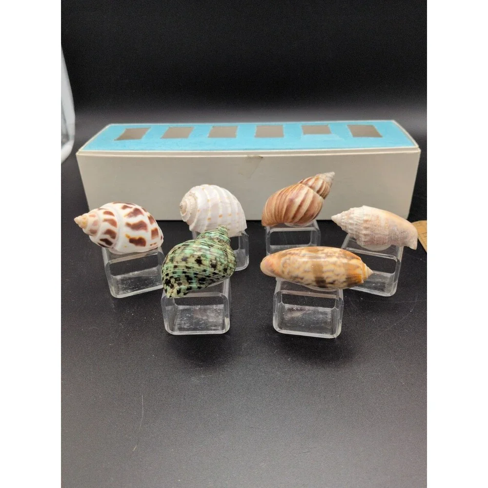 Set of 6 Sea Shell Napkin Rings Acrylic Rings